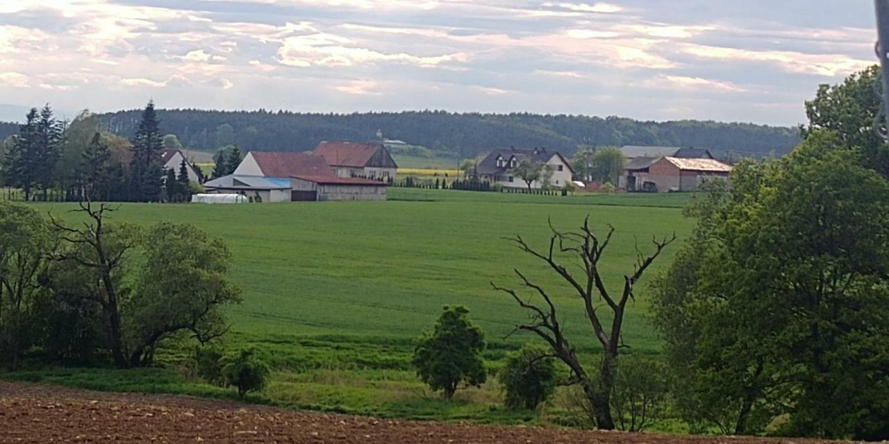Palac Lucja Bb Zakrzów Buitenkant foto